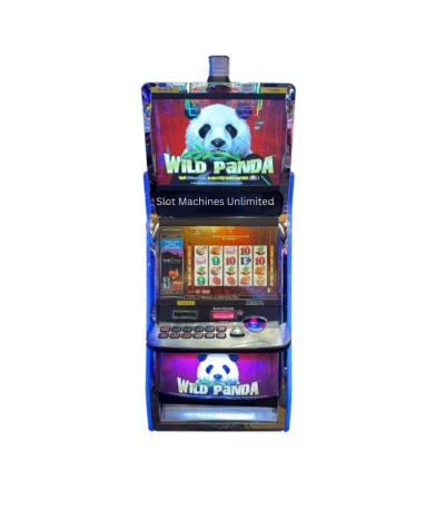 Wild Panda